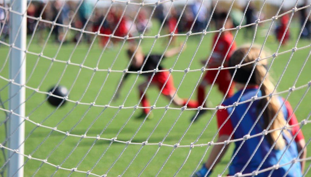 What Are Section 7 Child Support Expenses?